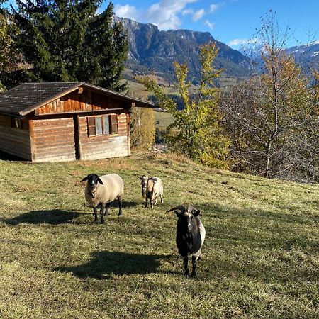 Encia'S Home Dolomiti Castello-Molina di Fiemme Buitenkant foto